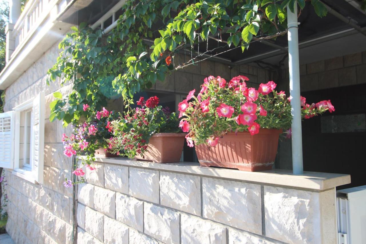 Apartment Ruzica Zrnovo Exterior photo